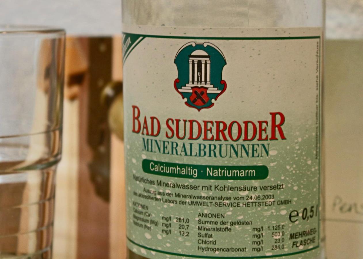 Pension Kurhausblick Bad Suderode Exteriér fotografie