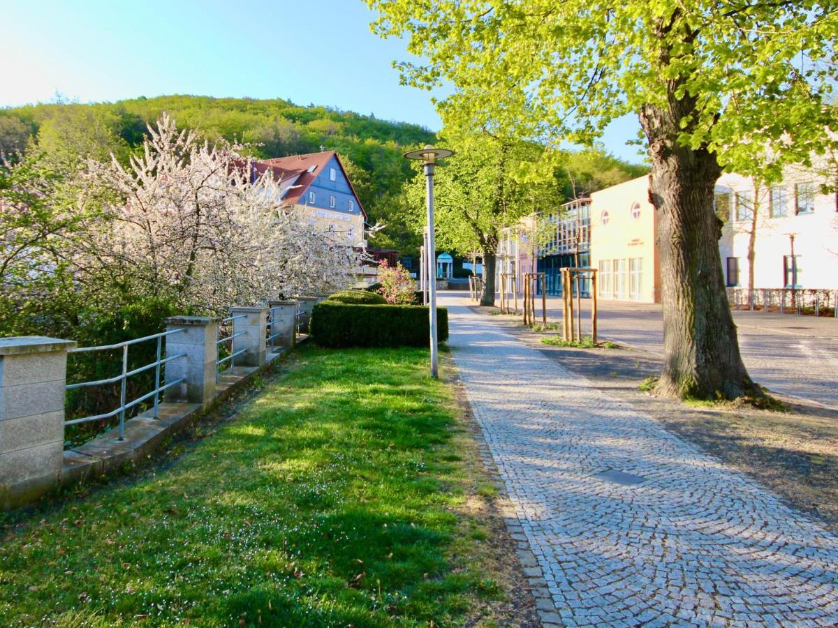 Pension Kurhausblick Bad Suderode Exteriér fotografie