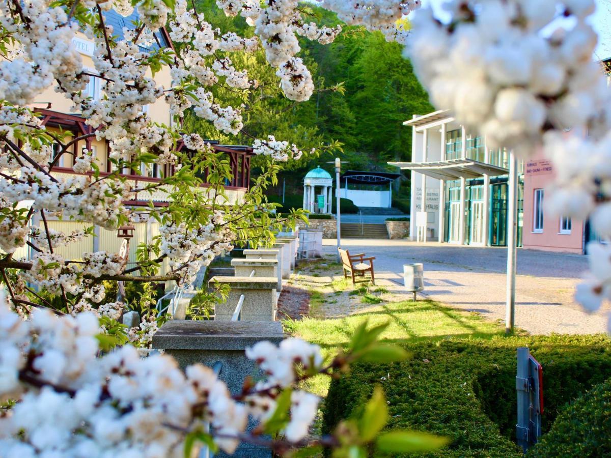 Pension Kurhausblick Bad Suderode Exteriér fotografie